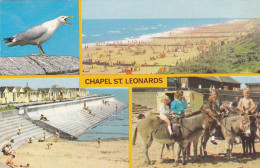 Postcard - Chapel St. Leonards - 3 Views And A Seagull - Card No. PLC15315 - Posted 07-07-1975  - VG - Unclassified