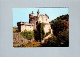 (42) : Chateau De La Roche Aux Environs De Roanne - Other & Unclassified