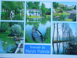 Souvenir Du Marais Poitevin    Carte Multivues    CP240424 - Other & Unclassified