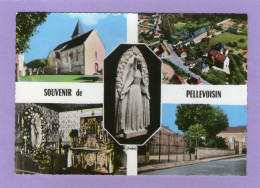 Souvenir De PELLEVOISIN - Multi-Vues - Autres & Non Classés