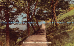 R179872 A Walk On The Hills. Great Malvern. Frith. No 73741. 1969 - Monde