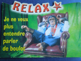 Singe    Relax    Carte Découpée    CP240427 - Singes