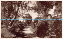 R178168 Midhurst Common. Valentine. RP. 1951 - Monde