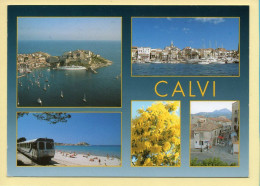 20. 2B. CALVI – Multivues (animée) (voir Scan Recto/verso) - Calvi