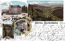 604423 | Ansichtskarte Litho Hotel Altenberg | Munster;Haut-Rhin (F 68140 Frankreich) - Sonstige & Ohne Zuordnung