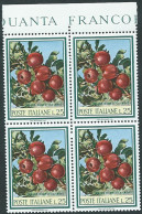 Italia, Italy, Italie, Italien 1967; Flora: Mele Sul Ramo, Apples On The Branch; Quartina Di Bordo. - Fruits
