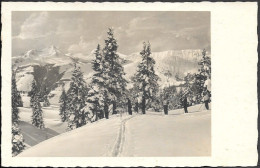 Germany Vilshofen Skiing Scene Old Real Photo PC 1941 Mailed. Skilaufen - Vilshofen