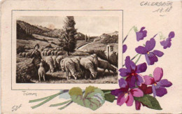 4V5Hy  Illustrateur Trimm Fleurs Troupeau De Moutons Calendrier De 1918 - Autres & Non Classés