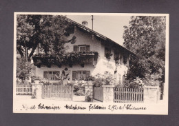 Carte Photo Wastl Schwaiger Malerheim Feldwies A. Chiemsee   ( Haus Gries Ferienwohnung  51969) - Autres & Non Classés