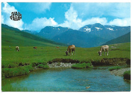 PLA DE BERET / PLAINE DE BERET.- LA VALL D'ARAN.- LLEIDA.- ( CATALUNYA). - Lérida