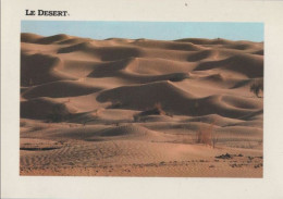 89972 - Tunesien - Sahara - Desert - Ca. 1985 - Tunisia