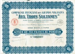 "AUX TROIS SULTANES"  Francaise Des Grands Magasins - Industry