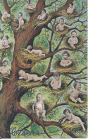 CPA  L’Arbre Aux Bébés Multiples Dans Leurs Nids   Série 303   Oblitérée En 1904 - Babies