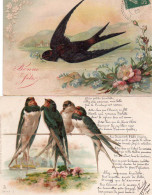 4V5Hy    Lot De 2 Cpa Hirondelles - Oiseaux