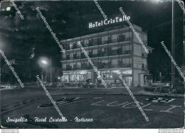Cg559 Cartolina Senigallia Hotel Cristallo Provincia Di Ancona Marche - Ancona