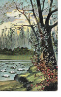 CP Paysage Pittoresque Avec Forêt Et Ruisseau Namur Wasseiges   1903 - Andere & Zonder Classificatie