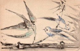 4V5Hy    Illustrateur M. De La Roche Oiseaux Peints Main Superbes - Birds