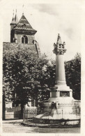 SAINT JEAN DE LOSNE : MONUMENT DE LA DEFENSE DE 1636 - Sonstige & Ohne Zuordnung