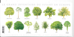 ARBRES DES FORÊTS  - Carte Double - Trees