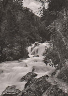 21275 - Ramsau - Im Zauberwald - Ca. 1965 - Bad Reichenhall