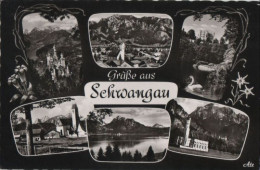 57819 - Schwangau - Mit 6 Bildern - Ca. 1965 - Fuessen