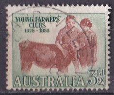 (Australien 1953) Farmer Mit Kuh/Kalb O/used (A4-2) - Koeien