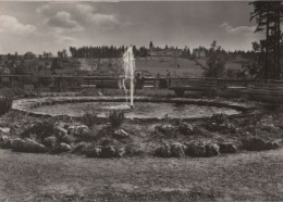 81873 - Finsterbergen - Blick Vom Naturpark Hüllrodt Zum Kurhaus - 1970 - Friedrichroda