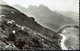 Fr. Carte Postale Photo.  Route Du Tourmalet. TB. - Autres & Non Classés