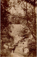 CP Carte Photo D'époque Photographie Vintage Attelage Forêt  - Non Classés