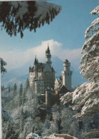 98427 - Schwangau Neuschwanstein - Im Winter - Ca. 1985 - Füssen