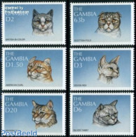 Gambia 1997 Cats 6v, Mint NH, Nature - Cats - Gambie (...-1964)