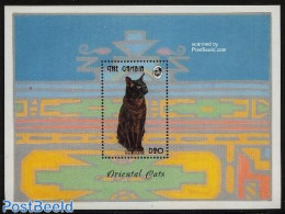 Gambia 1993 Burmeze Cat S/s, Mint NH, Nature - Cats - Gambia (...-1964)