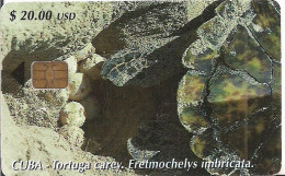 TARJETA CUBA TORTUGA CAREY - Unclassified