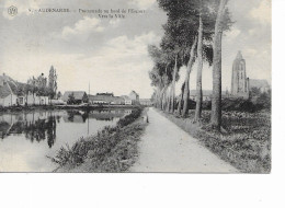 Audenarde   Promenade Au Bord De L'Escaut Vers La Ville - Oudenaarde