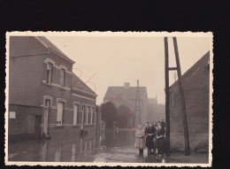 Oost-Vlaanderen - "overstrooming Van 1952" - Fotokaart - To Identify