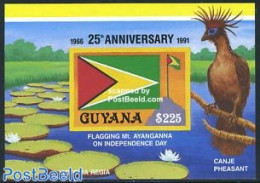 Guyana 1991 25 Years Independence S/s, Mint NH, History - Nature - Flags - Birds - Guyana (1966-...)