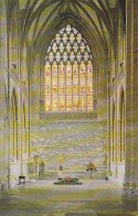 AK 215441 ENGLAND - Milton Abbey - The Jesse Window In Soutrh Transept - Other & Unclassified