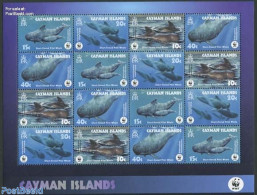 Cayman Islands 2003 WWF, Whales M/s, Mint NH, Nature - Sea Mammals - World Wildlife Fund (WWF) - Iles Caïmans
