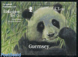 Guernsey 2013 Endangered Species, Giant Panda S/s, Mint NH, Nature - Animals (others & Mixed) - Pandas - Guernsey
