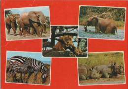 75663 - Afrika (Sonstiges) - Ostafrika - Tiere - Ca. 1985 - Ohne Zuordnung