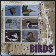 Saint Vincent 2015 Birds 6v M/s, Mint NH, Nature - Birds - St.Vincent (1979-...)