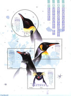 French Antarctic Territory 2018 Empereur Penguin S/s, Mint NH, Nature - Birds - Penguins - Neufs