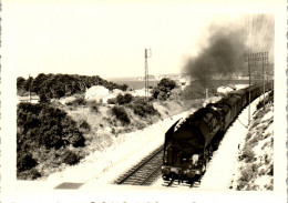 Photographie Photo Vintage Snapshot Anonyme 83 Var Sanary Sur Mer Train  - Places