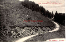 CPA PYRENNEES - DESCENTE DU COL D'APIN SUR PAYOLE - Autres & Non Classés