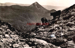 CPSM CANTAL - LE PUY GRIOU - VUE DES FLANCS DU PUY MARY - Sonstige & Ohne Zuordnung