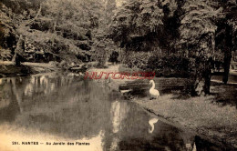 CPA NANTES - AU JARDIN DES PLANTES - Nantes