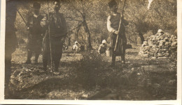 Photographie Photo Vintage Snapshot Anonyme WW1 Dardanelles Salonique ? Grèce - Krieg, Militär