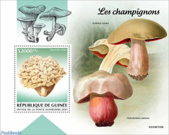 Guinea, Republic 2023 Mushrooms, Mint NH, Nature - Mushrooms - Champignons