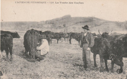 CPA (63)  L'Auvergne Pittoresque La Traite Des Vaches Vacher Bovin Paysan - Sonstige & Ohne Zuordnung