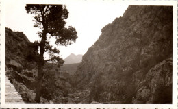 Photographie Photo Snapshot Anonyme Vintage Corse Corsica Défilé De L'Incezza - Plaatsen